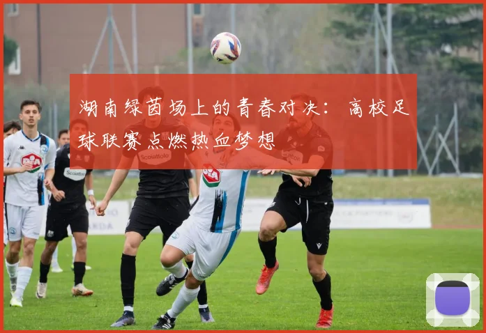 湖南绿茵场上的青春对决：高校足球联赛点燃热血梦想